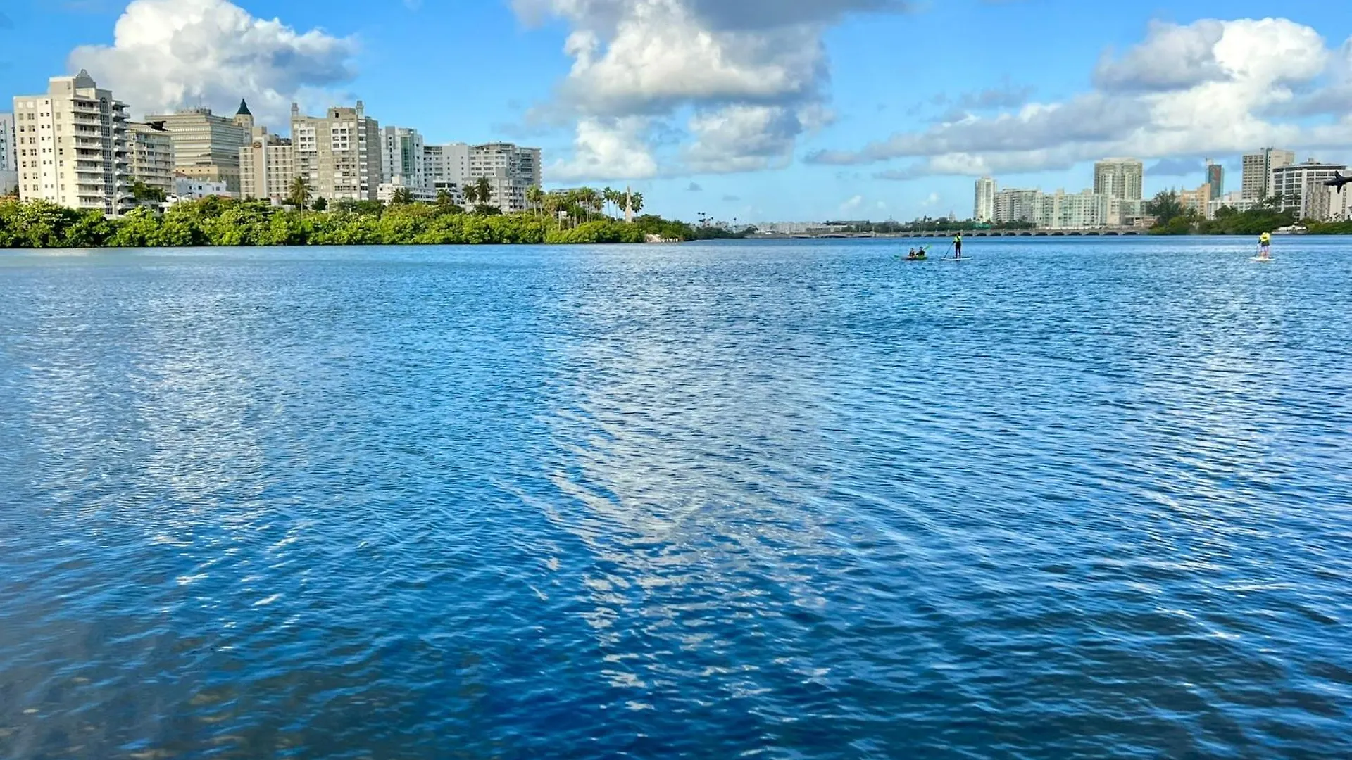Condado Downtown Tantra Apartment San Juan Puerto Rico